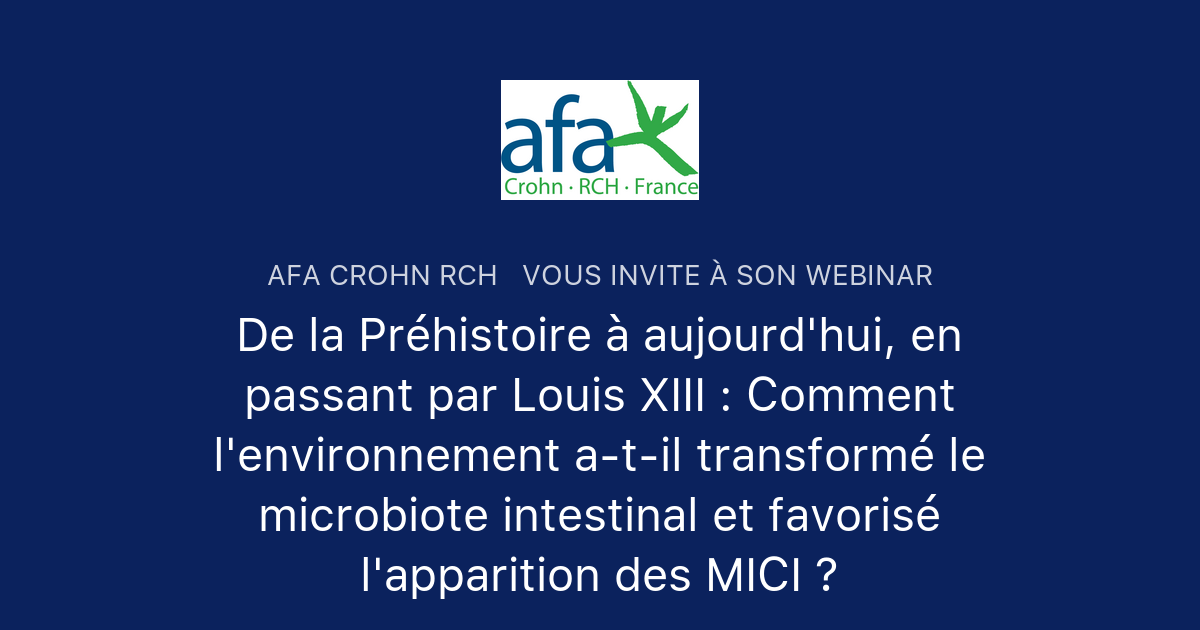 De La Pr Histoire Aujourd Hui En Passant Par Louis Xiii Comment L