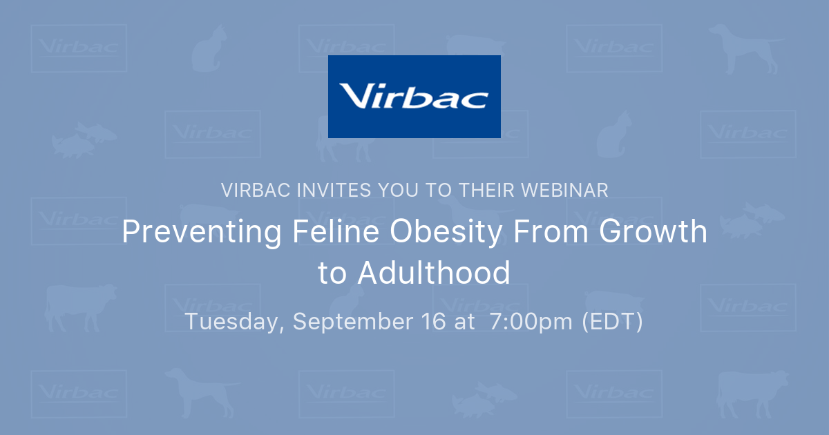 Preventing Feline Obesity From Growth to Adulthood | Virbac - Feline Uti Caused By Obesity