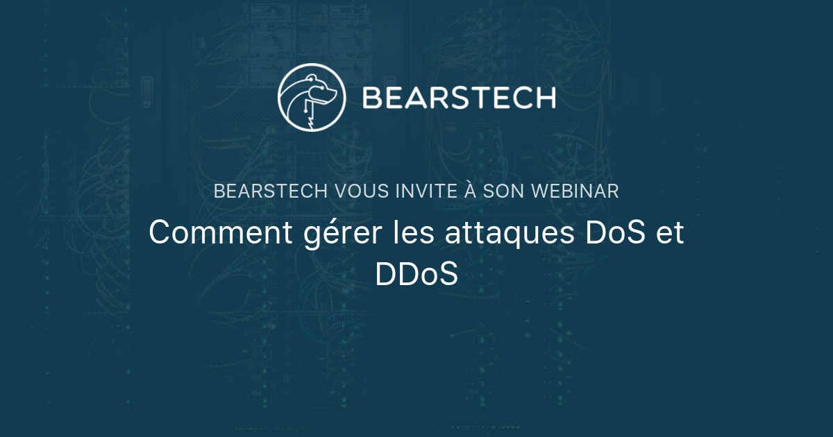 Comment gérer les attaques DoS et DDoS | Bearstech