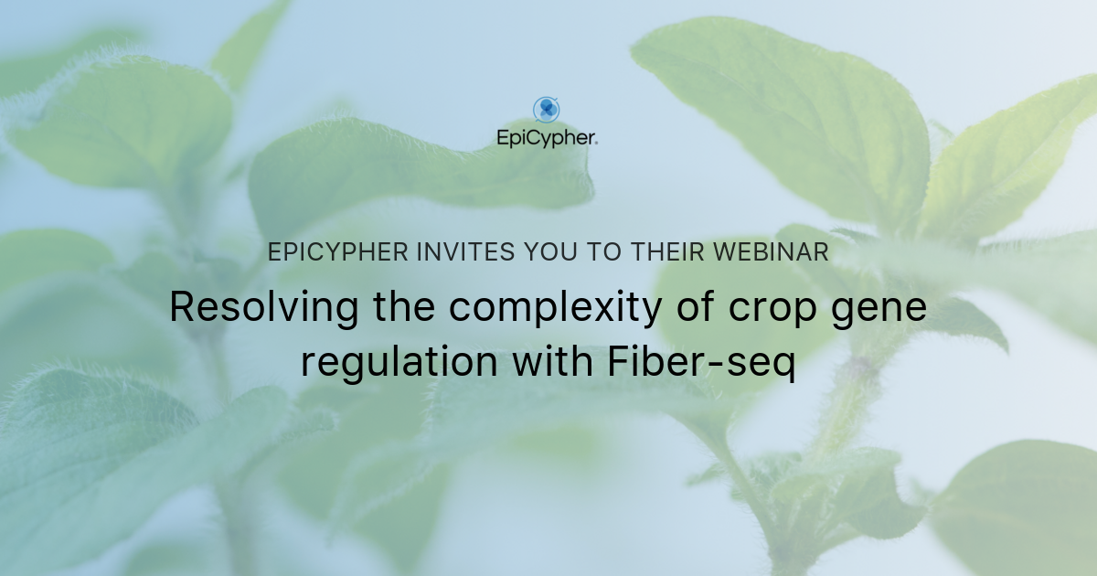 Resolving the complexity of crop gene regulation with Fiber-seq | EpiCypher