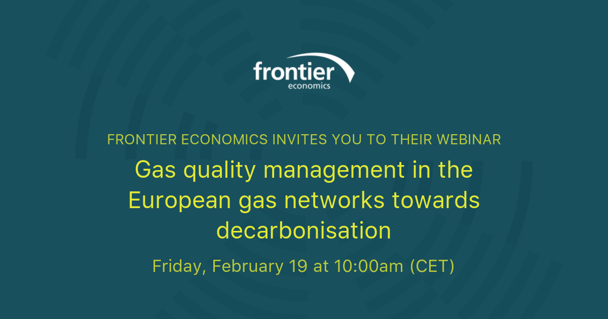 Gas quality management in the European gas networks towards