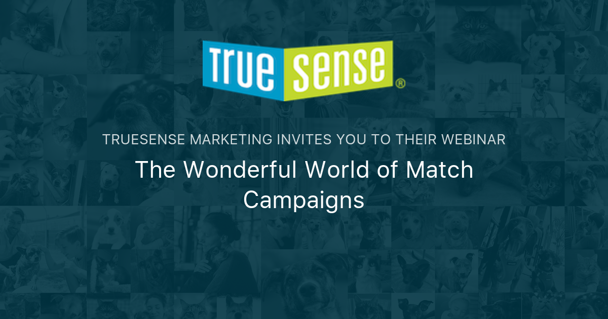 True Sense Logo The Wonderful World of Match Campaigns | TrueSense Marketing