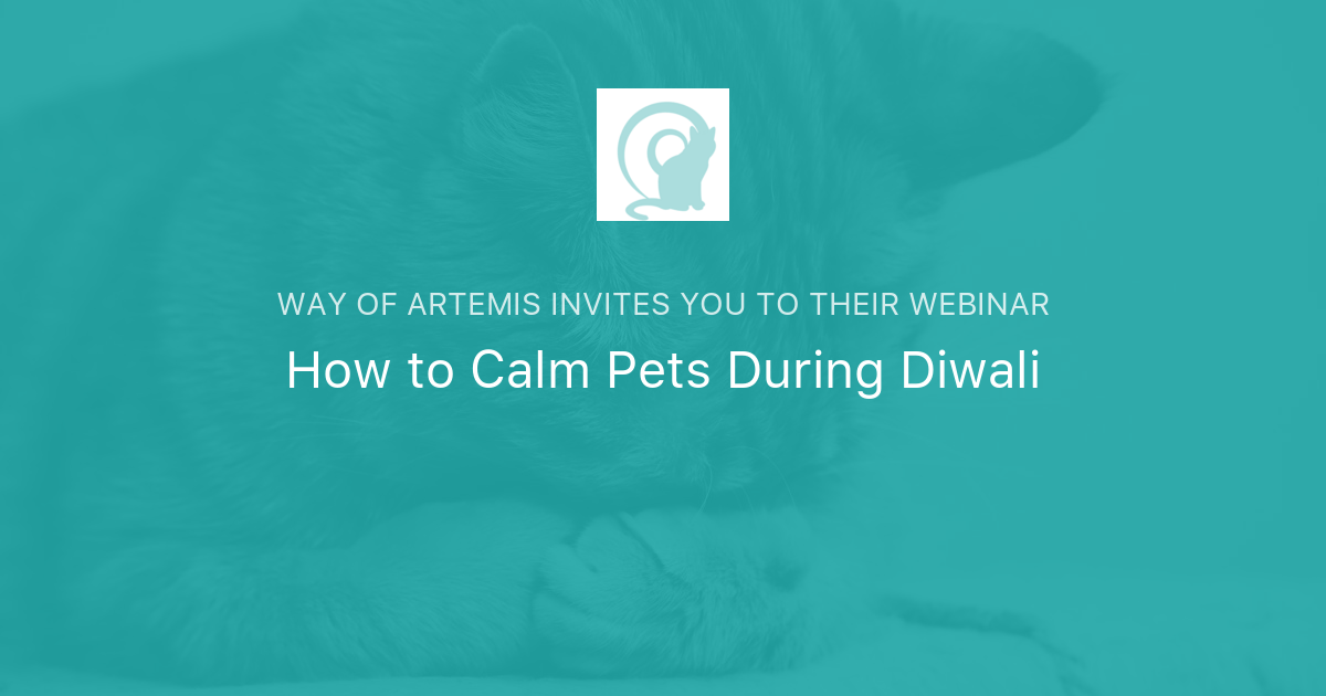 How to Calm Pets During Diwali Way of Artemis