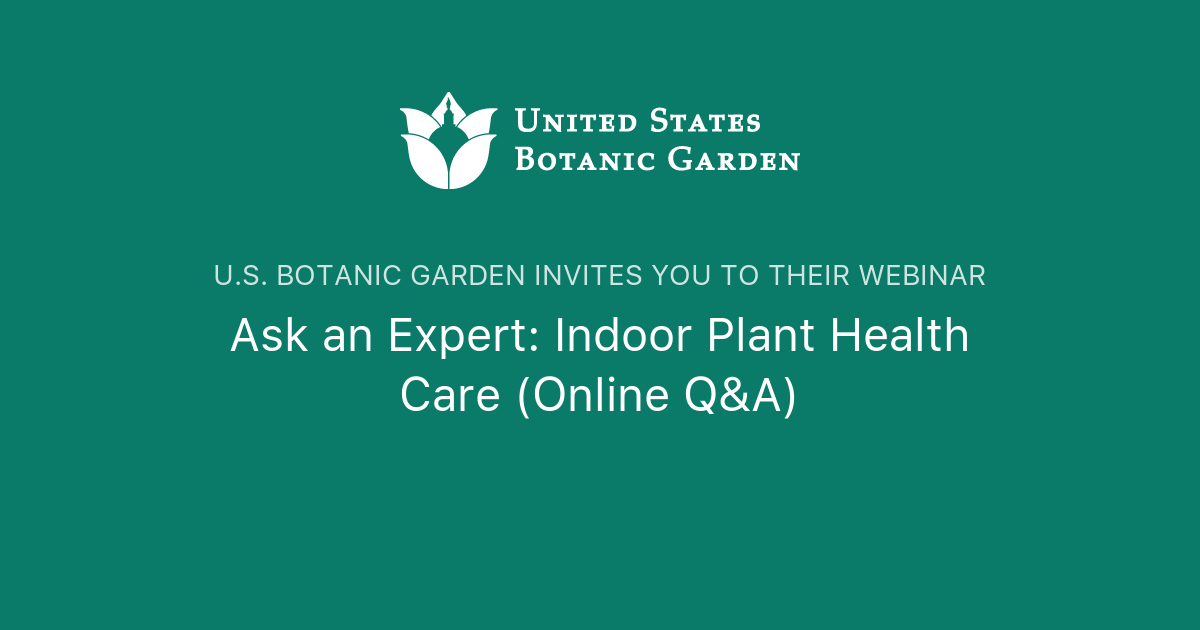 Ask an Expert Indoor Plant Health Care Q&A) U.S. Botanic Garden