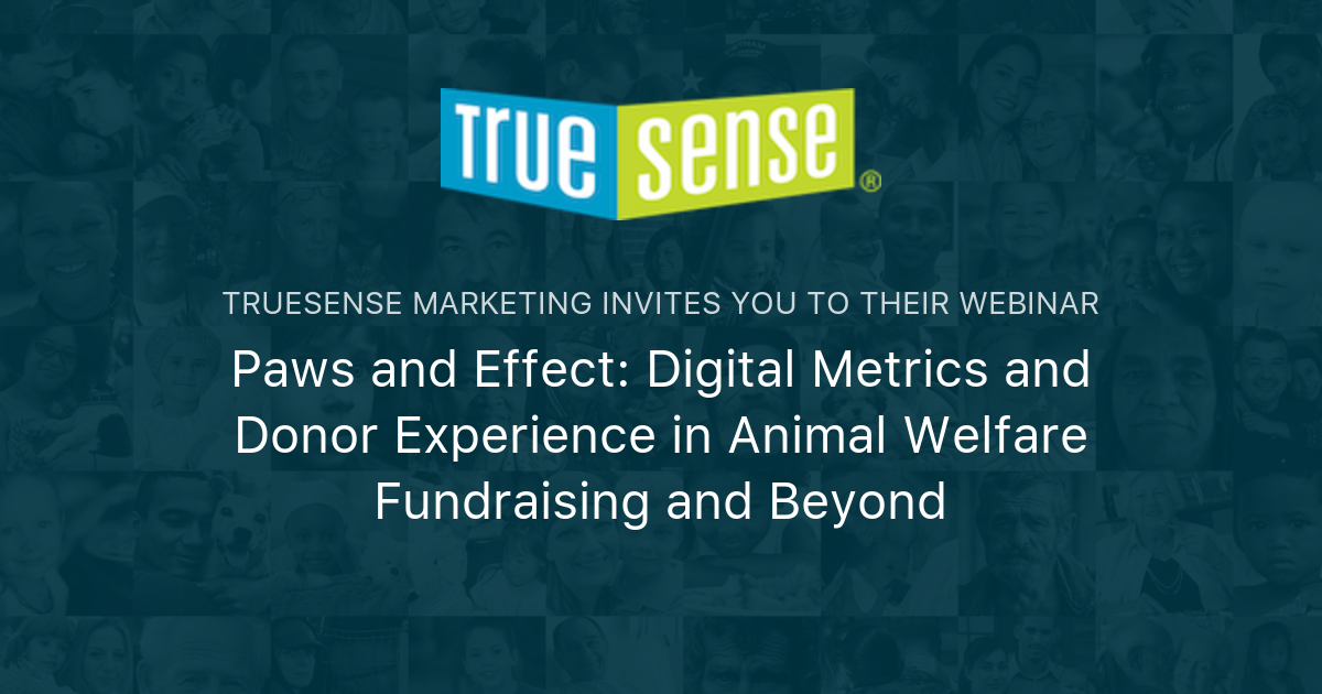 True Sense Logo Paws and Effect: Digital Metrics and Donor Experience in Animal Welfare ...