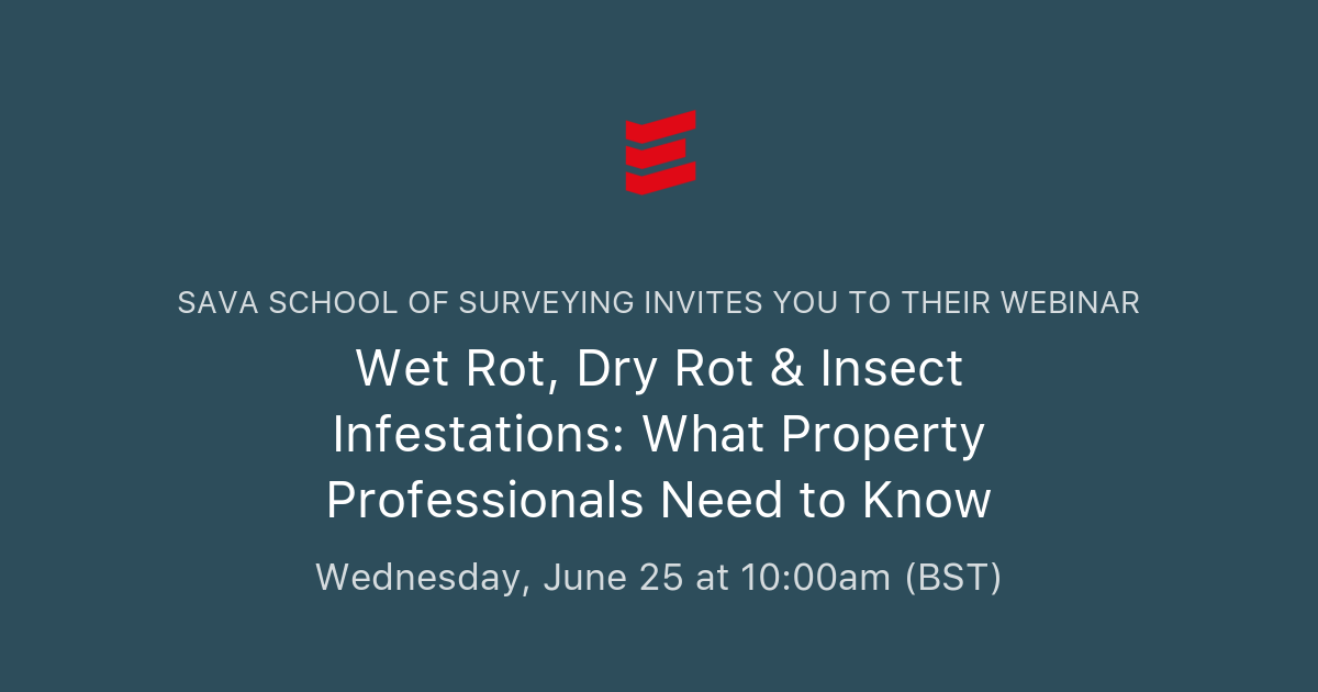 Wet Rot, Dry Rot & Insect Infestations: What Property Professionals ...