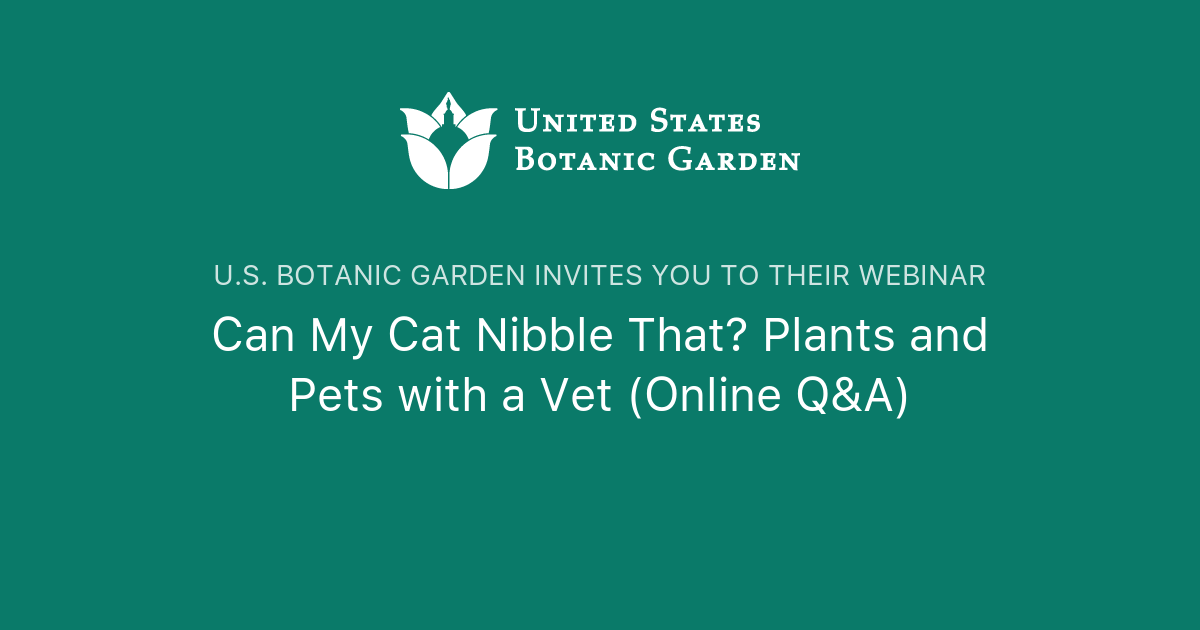 Can My Cat Nibble That? Plants and Pets with a Vet Q&A) U.S