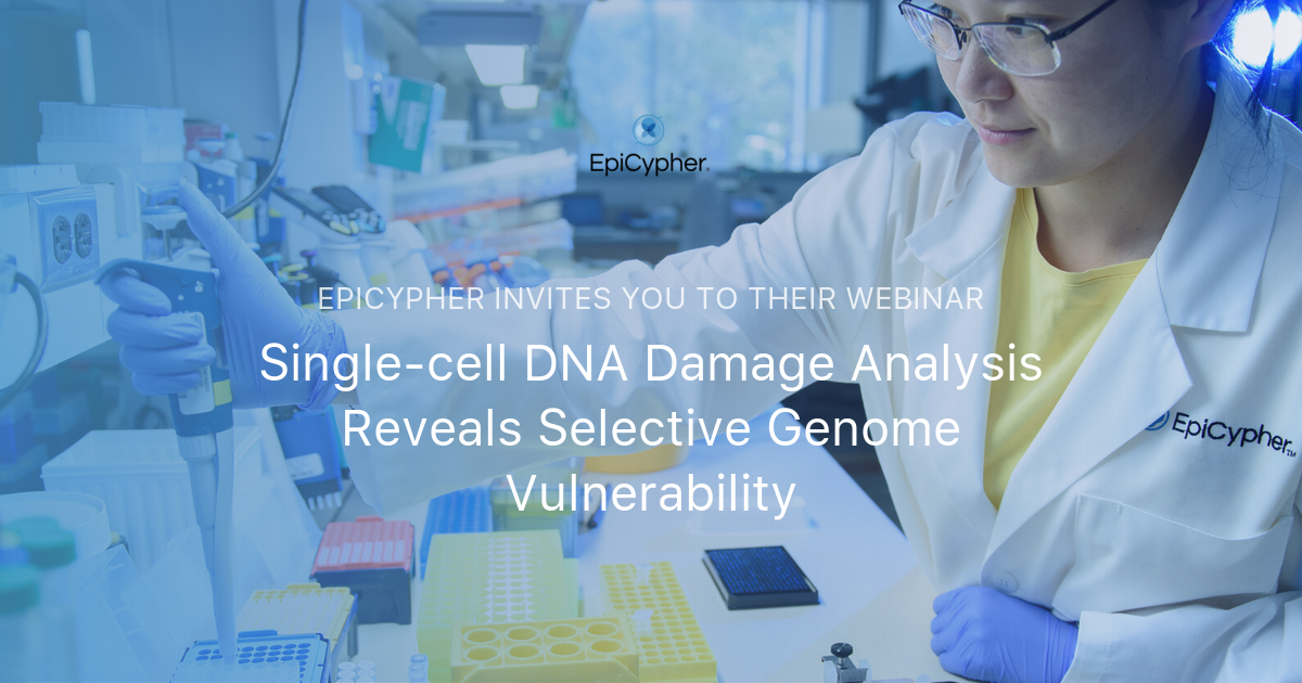 Single-cell DNA Damage Analysis Reveals Selective Genome Vulnerability ...