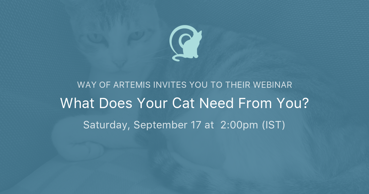 What Does Your Cat Need From You? Way of Artemis