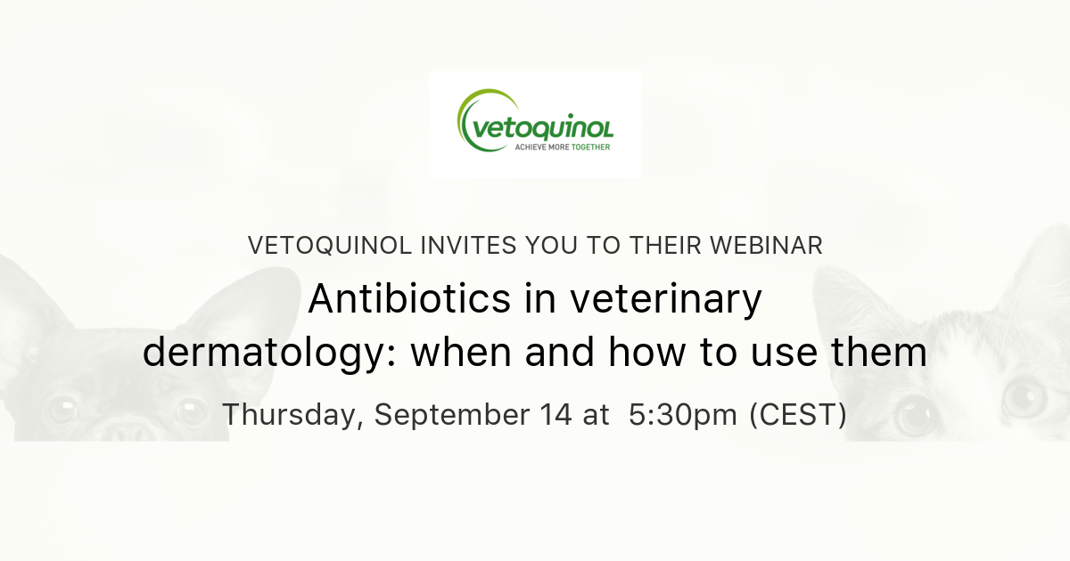 Antibiotics In Veterinary Dermatology When And How To Use Them   Og 